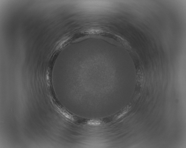 X0000058100762200509230959
