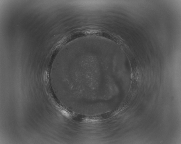 X0000058100763200509230959