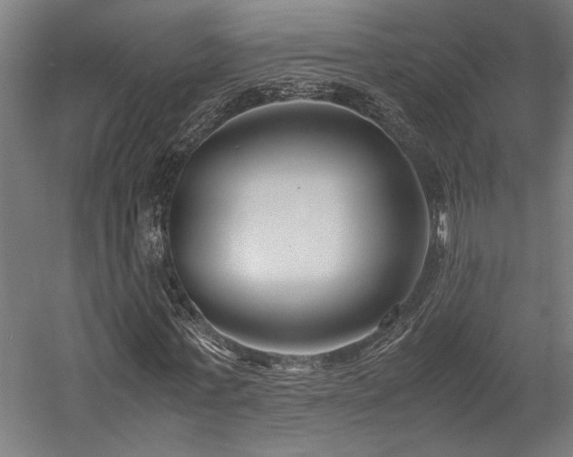 X0000058100771200509230959