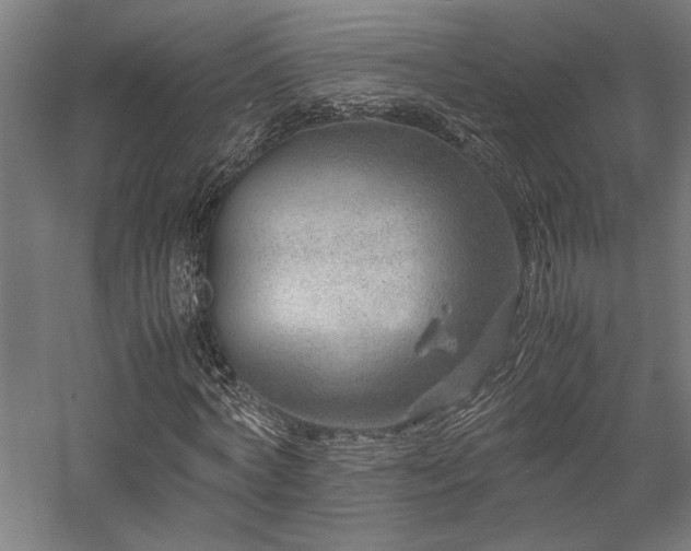 X0000058100772200509230959