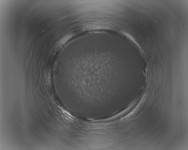 X0000058100777200509230959