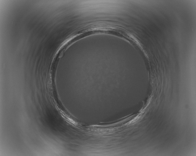 X0000058100779200509230959