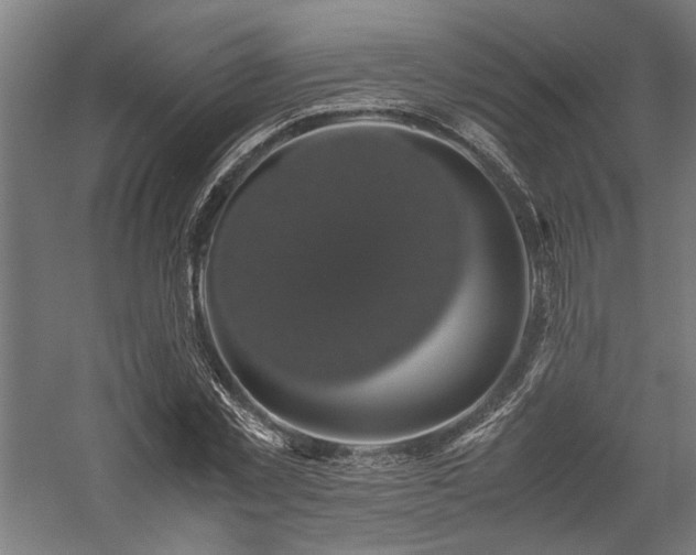 X0000058100781200509230959