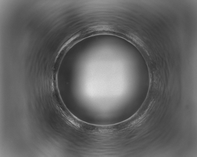 X0000058100782200509230959
