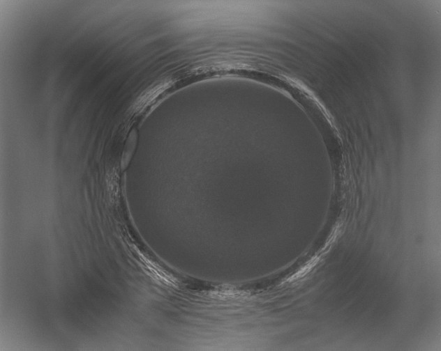 X0000058100785200509230958