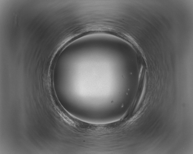 X0000058100787200509230958