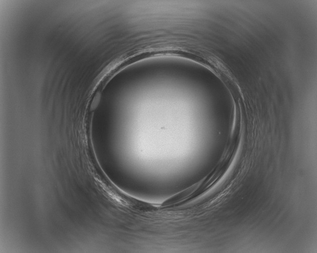 X0000058100789200509230958