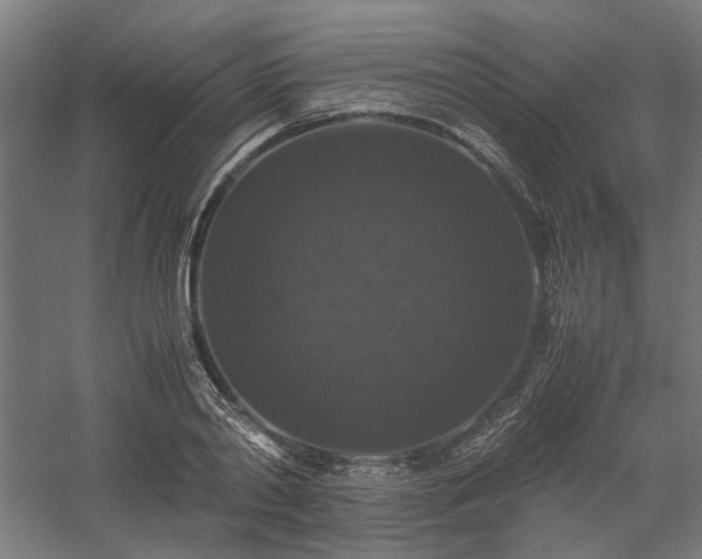 X0000058100790200509230958