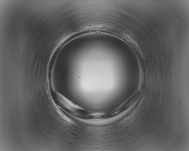 X0000058100792200509230958