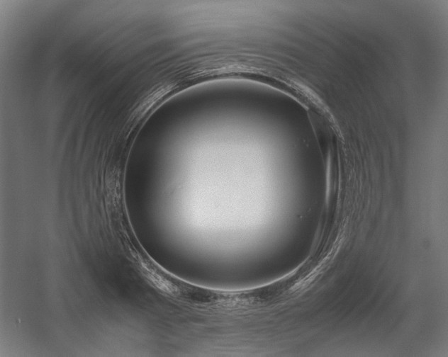 X0000058100793200509230958