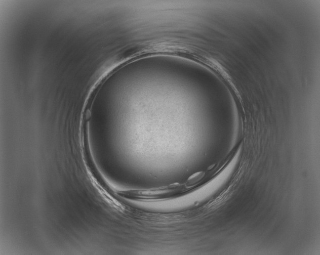 X0000058100795200509230958