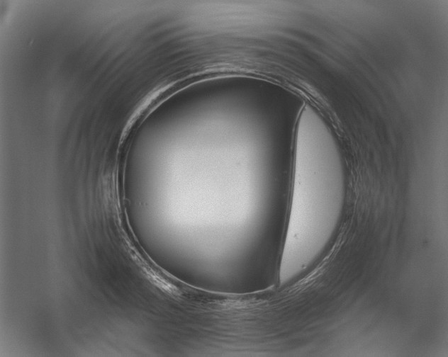 X0000058100796200509230958