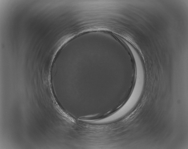 X0000058100797200509230958
