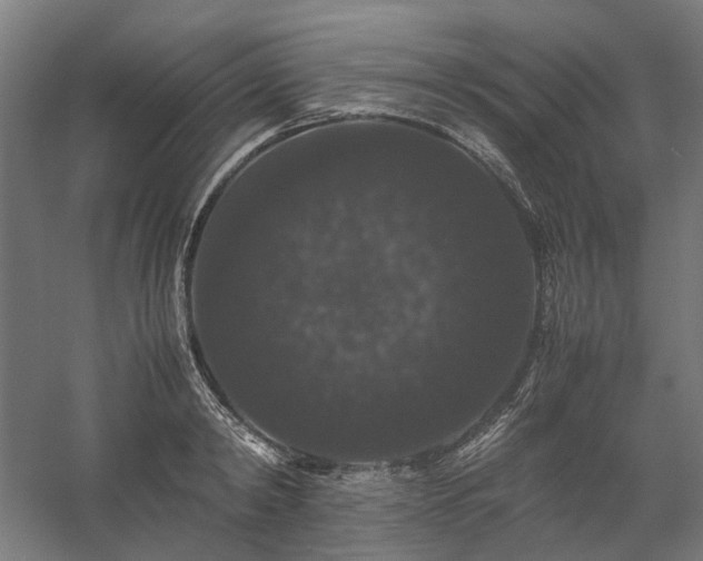 X0000058100798200509230958