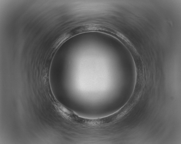 X0000058100801200509230958