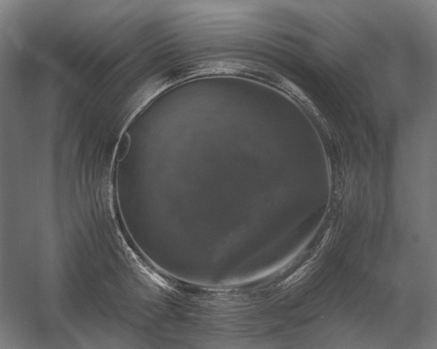 X0000058100802200509230958
