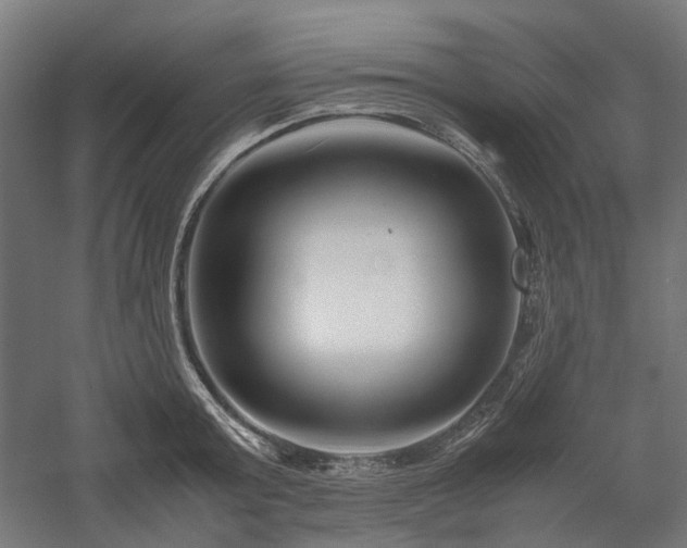 X0000058100803200509230958