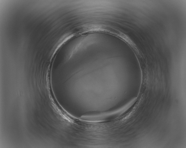 X0000058100806200509230958