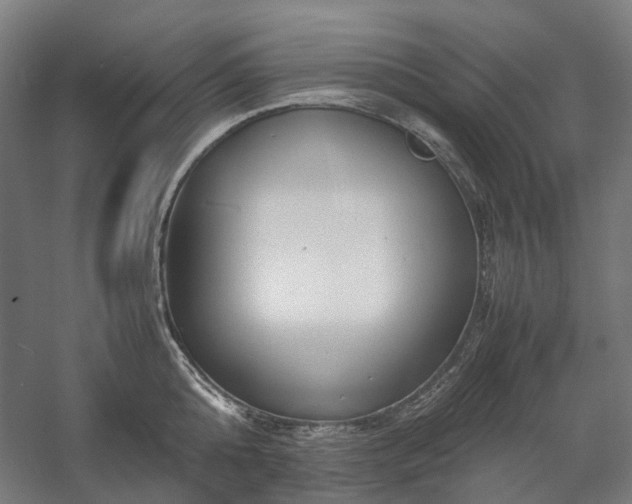 X0000058100808200509230958