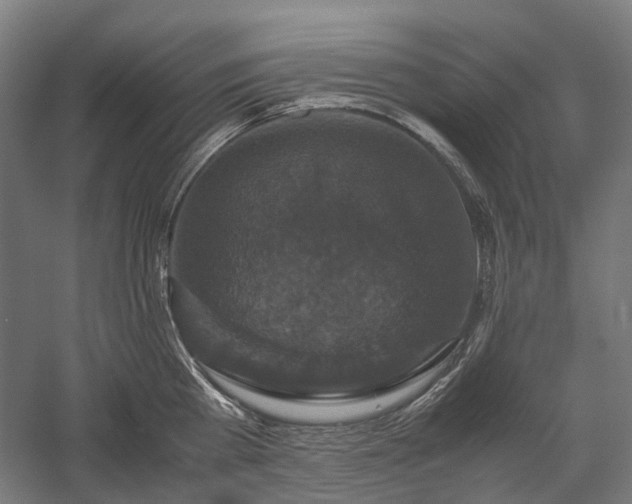 X0000058100809200509230958