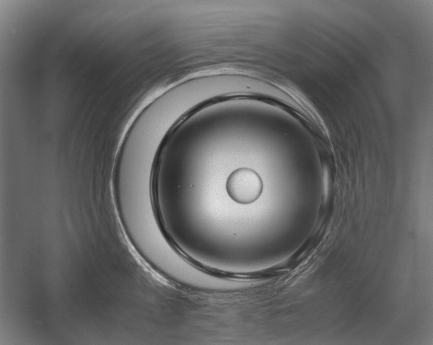 X0000058100813200509230958