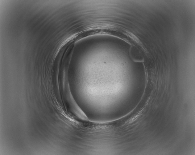 X0000058100826200509230957