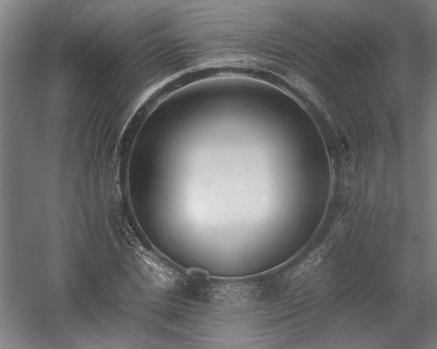 X0000058100830200509230957