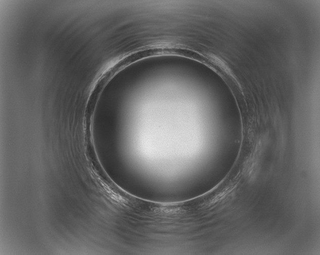 X0000058100831200509230957