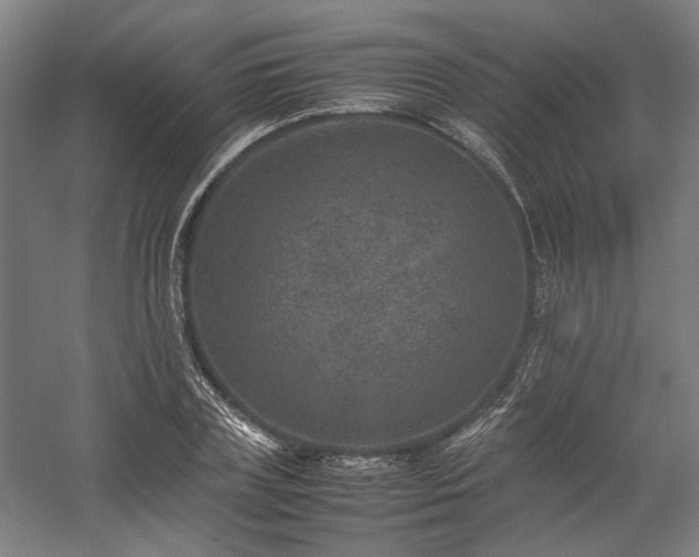 X0000058100835200509230957