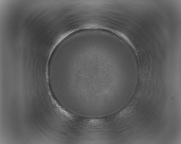 X0000058100839200509230957