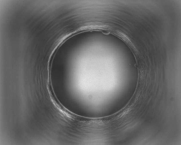 X0000058100844200509230958