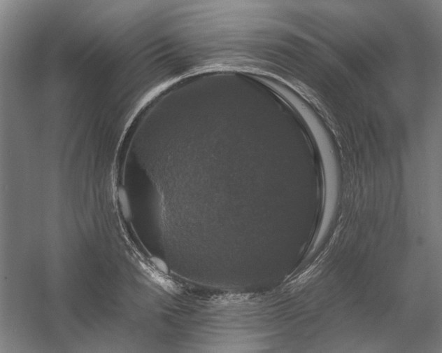 X0000058100846200509230958