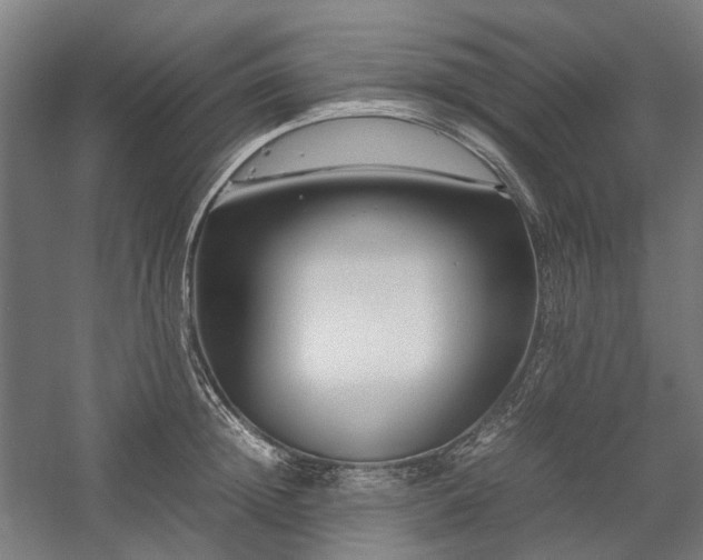 X0000058100852200509230958