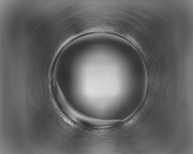 X0000058100854200509230958