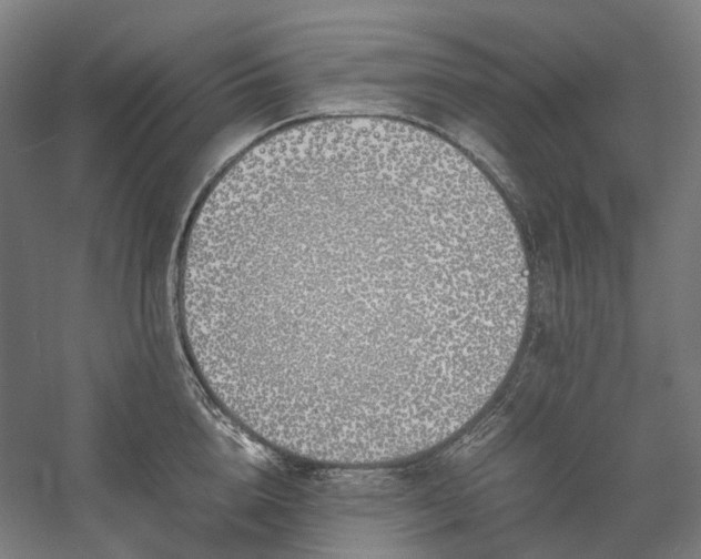 X0000058100856200509230958