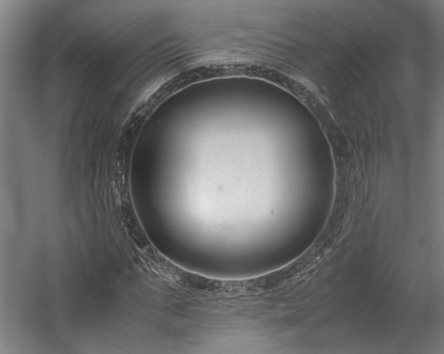 X0000058100871200509230957