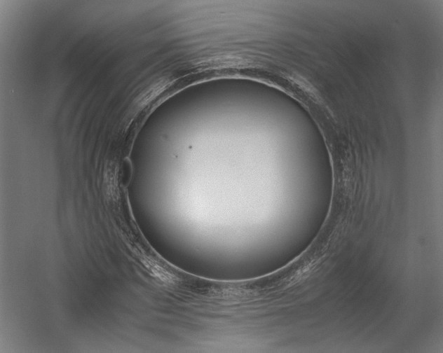 X0000058100873200509230957