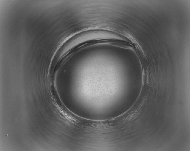 X0000058100876200509230957