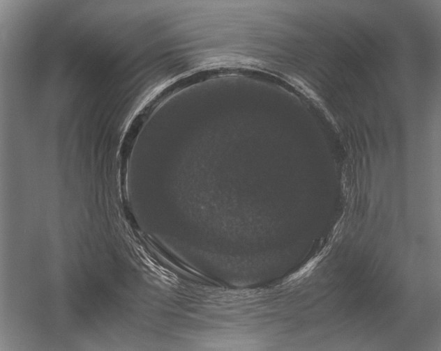 X0000058100877200509230957