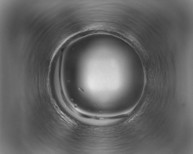 X0000058100880200509230957