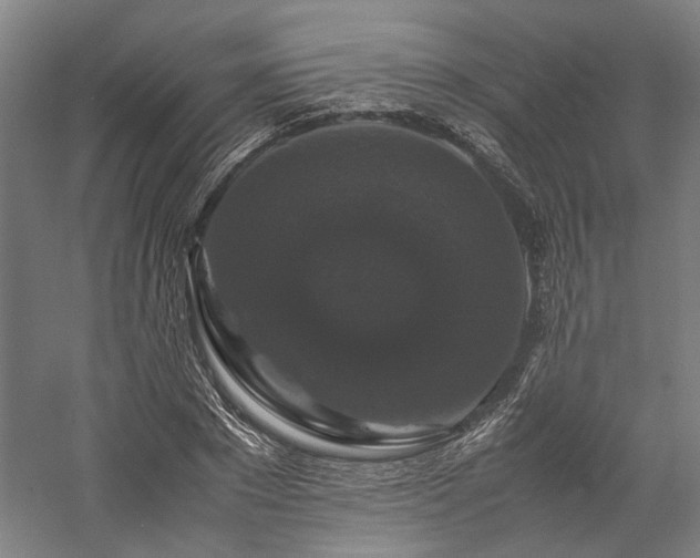 X0000058100881200509230957