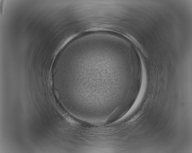 X0000058100885200509230957
