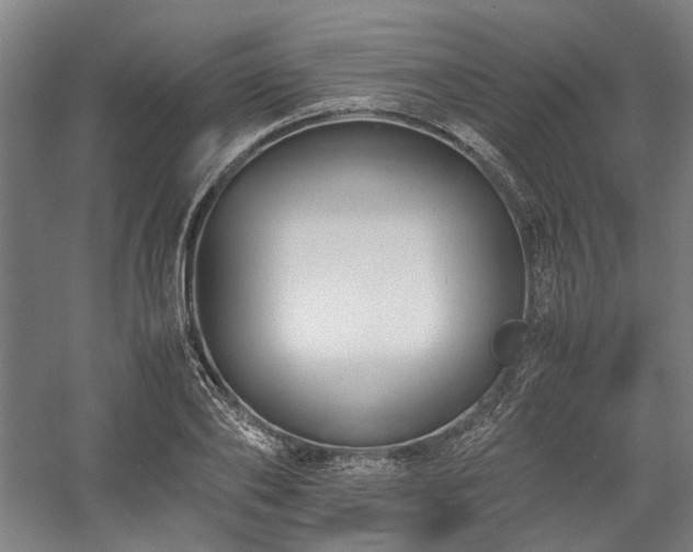 X0000058100886200509230957