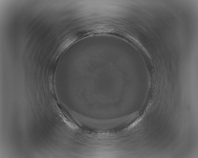 X0000058100889200509230957