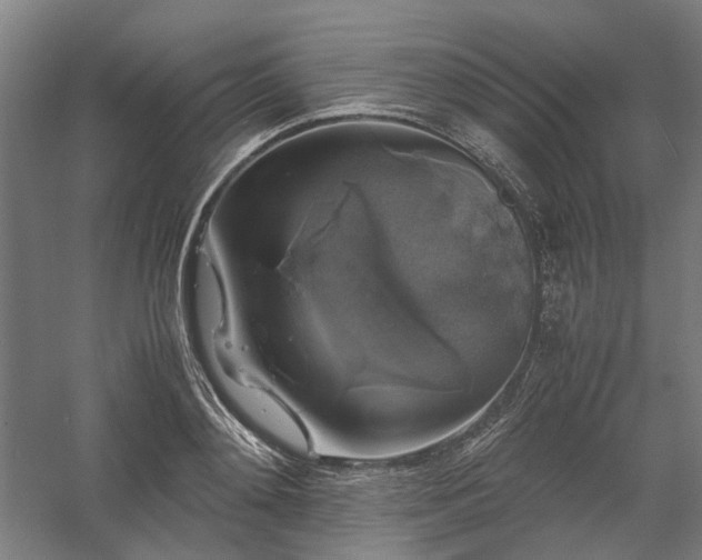 X0000058100892200509230957