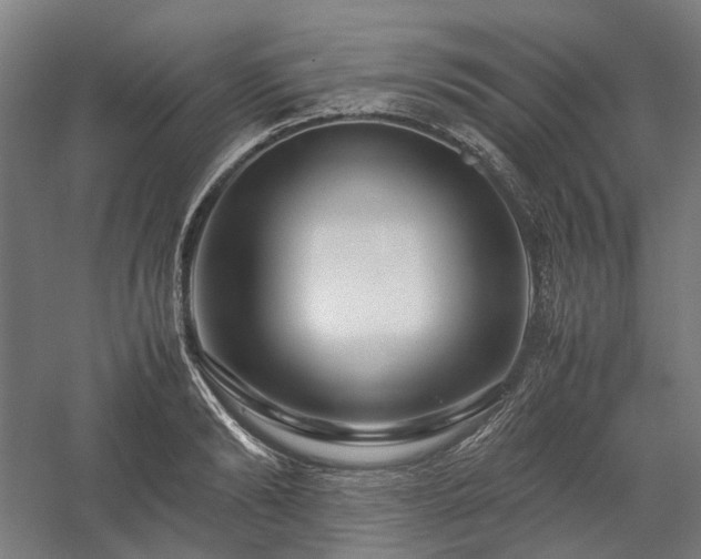 X0000058100894200509230957