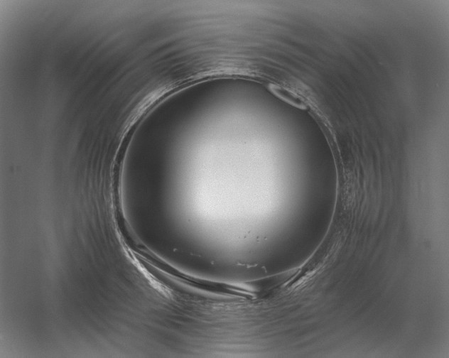 X0000058100898200509230957