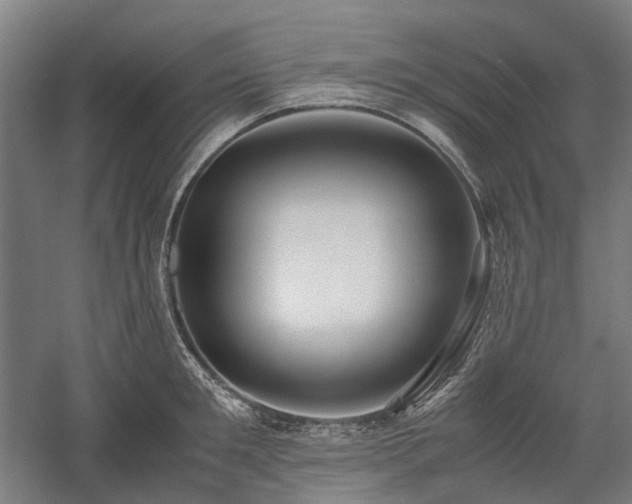 X0000058100901200509230956