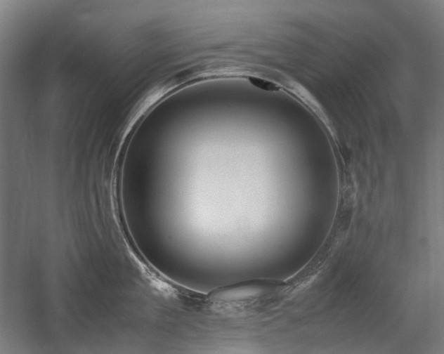 X0000058100909200509230956