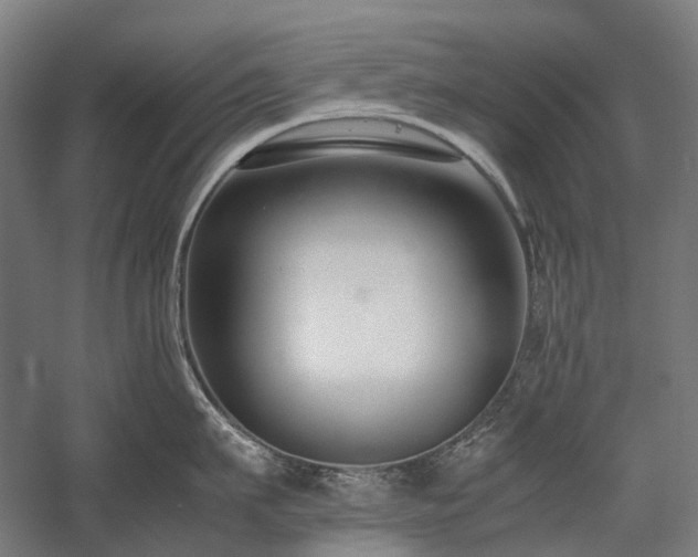 X0000058100911200509230956